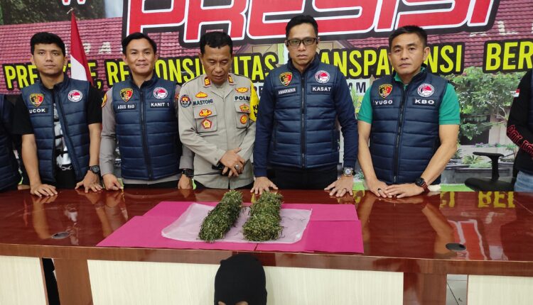 press release tindak pidana narkotika Polres Pagar Alam