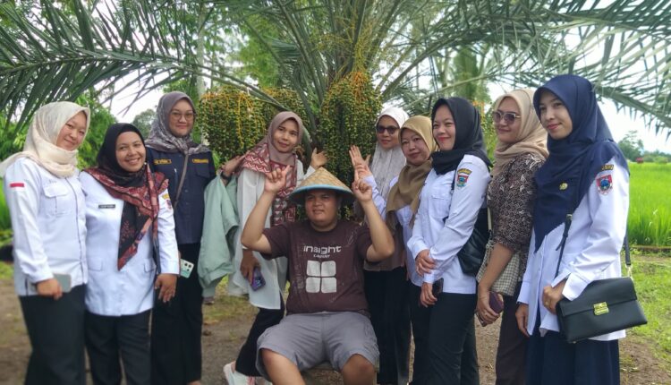 Dinas Pertanian Kota Pagar Alam tinjau pohon kurma yang viral tumbuh subur hingga berbuah lebat. 