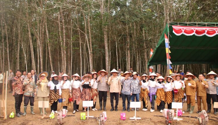 Penanaman jagung serentak 1 juta hektar di Kabupaten OKI.