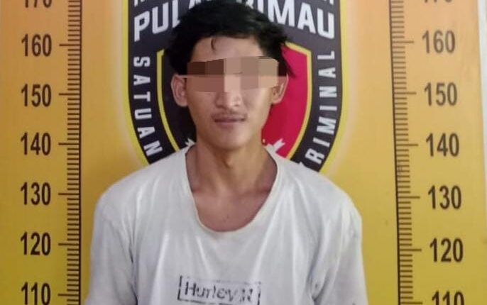 Tersangka saat diamankan di Polsek Pulau Rimau.