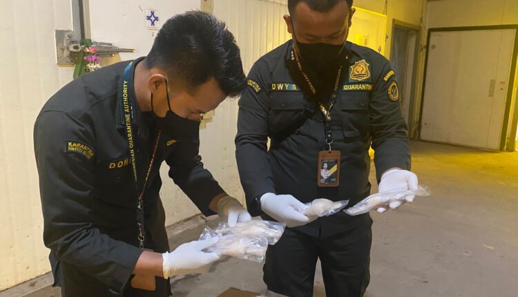 Tim Karantina cek kesiapan pengiriman ke negara Prancis.