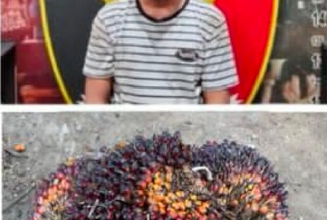 Pelaku beserta barang bukti saat diamankan. (Foto: Dokumen Polisi)