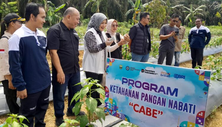 Kepala Desa Bukit Makmur bersama perwakilan BRI saat menerima penghargaan Desa Terbaik Nasional Program BRILiaN Village 2025 Batch 3.