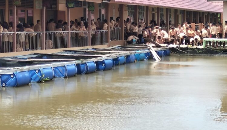 Memanfaatkan lahan rawa di lingkungan sekolah untuk kegiatan budidaya ikan air tawar.