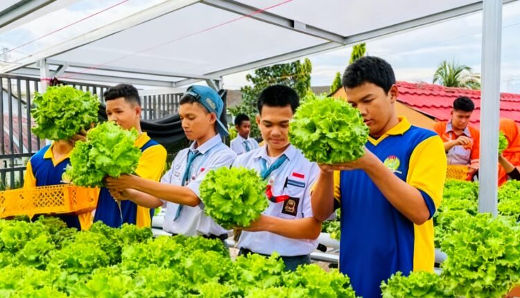 Siswa SMK PGRI 2 Palembang memanen selada hidroponik di Gridupa Farm, memadukan pembelajaran vokasi dengan praktik kewirausahaan nyata.