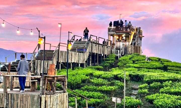 Destinasi favorit di Gunung Dempo seperti Bukit Tungguan dan Nature High Villa resmi ditutup sementara.