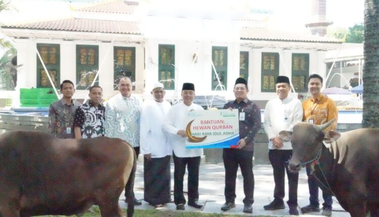 PPS Direktur Utama Bank Sumsel Babel, Marzuki menyerahkan bantuan hewan kurban kepada pengurus mesjid Agung Palembang.