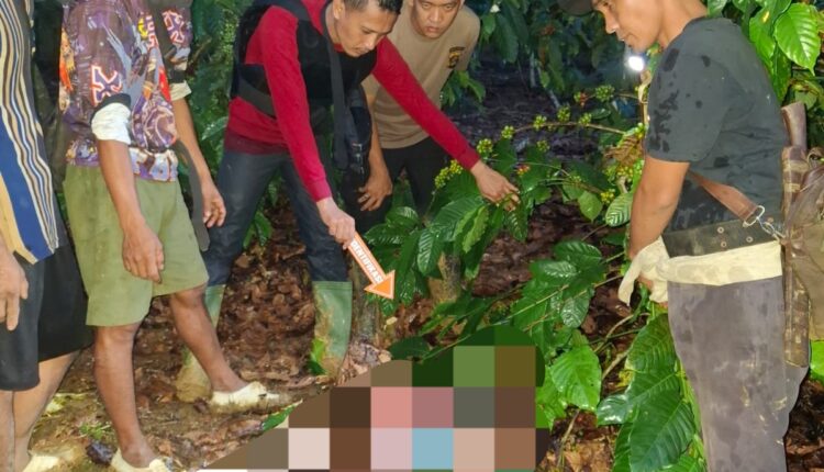 Tim Satreskrim Polres OKU melakukan olah Tempat Kejadian Perkara (TKP) di sebuah perkebunan kopi di Desa Mendingin, Kecamatan Ulu Ogan.