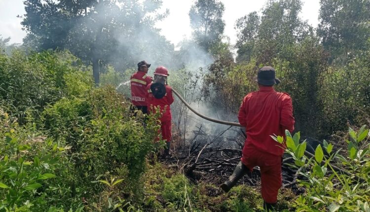 Personel Manggala Agni Daops Sumatera XIV/Banyuasin bersama tim gabungan menyemprotkan air ke sisa-sisa kebakaran lahan rawa di Desa Lorok, Kecamatan Indralaya Utara, Kabupaten Ogan Ilir