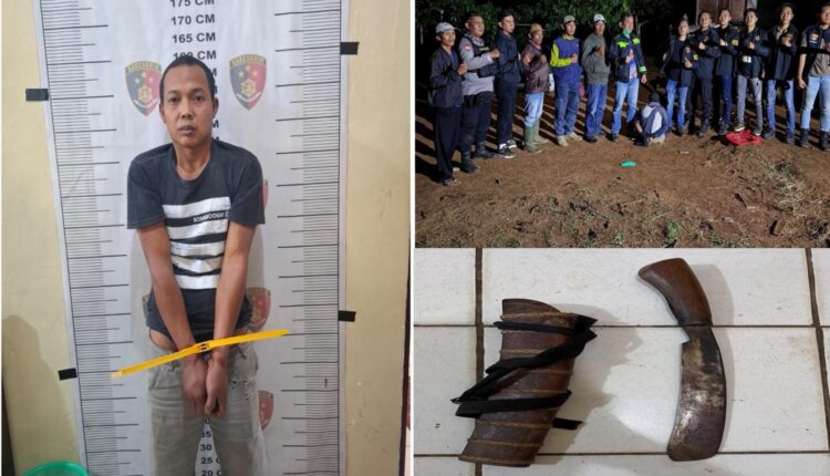 Tersangka berinisial EW (35) saat diamankan di Mapolres OKU Selatan (kiri), proses penangkapan pelaku di lapangan oleh petugas (kanan atas), dan barang bukti sebilah parang yang digunakan untuk mengakhiri nyawa korban (kanan bawah).