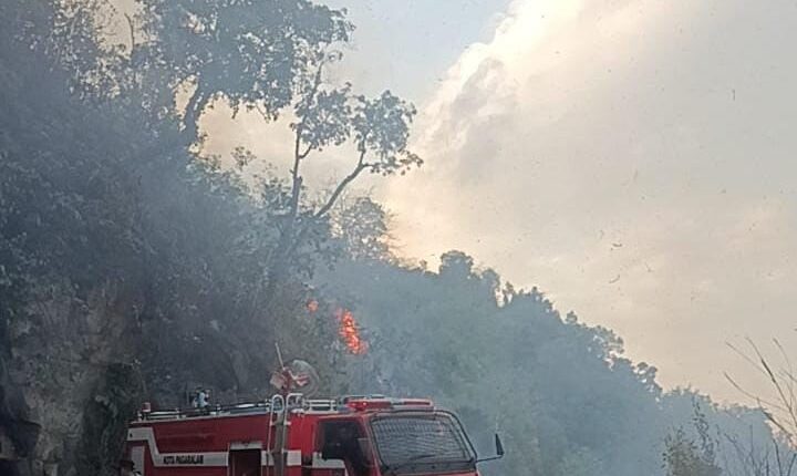 Petugas pemadam kebakaran mengerahkan armada mobil pemadam untuk menjinakkan kobaran api yang membakar lahan dan hutan di kawasan Liku Endikat, perbatasan Kota Pagar Alam dan Kabupaten Lahat.