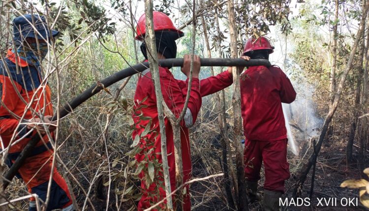 Sejumlah personel Manggala Agni Daops Sumatera XVII/OKI bahu-membahu menarik selang air untuk memadamkan kebakaran hutan dan lahan (karhutla) di Desa Pulau Gemantung, Tanjung Lubuk, Kabupaten Ogan Komering Ilir (OKI), Sumatra Selatan.