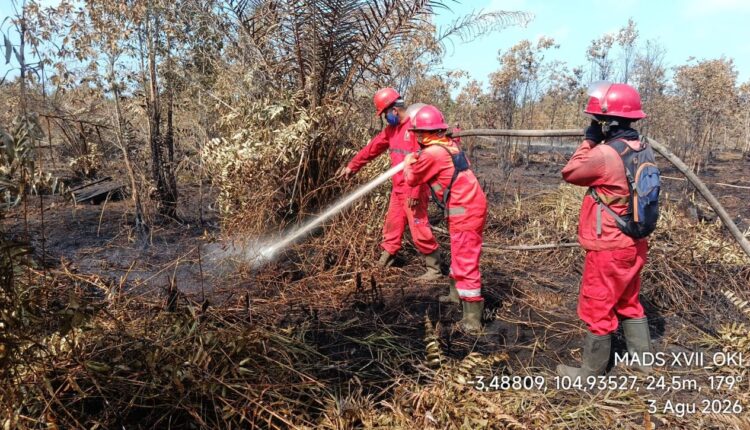 Sejumlah petugas Manggala Agni Daops OKI menyemprotkan air ke sisa-sisa vegetasi yang terbakar saat melakukan pemadaman lanjutan dan pendinginan di wilayah Kabupaten Ogan Komering Ilir (OKI), Sumatera Selatan.