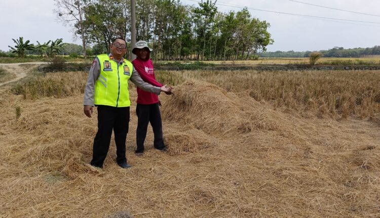 Kapolsek Buay Madang Timur Iptu Swisspo, memberikan edukasi secara humanis kepada seorang petani di samping tumpukan jerami sisa panen saat menggelar patroli mitigasi Karhutla di area persawahan Kecamatan Buay Madang Timur, Kabupaten OKU Timur, Sumatra Selatan.