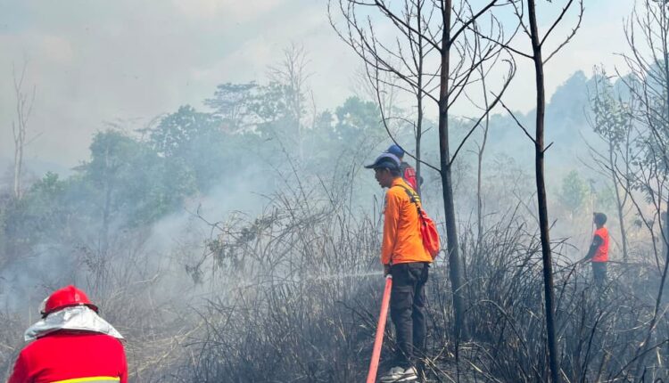 Sejumlah petugas dari tim gabungan BPBD dan Pemadam Kebakaran mengarahkan selang air untuk memadamkan sisa api dan melakukan pendinginan pada lahan yang terbakar di area Lapangan Terbang Bandara Atung Bungsu, Kelurahan Atung Bungsu, Kecamatan Dempo Selatan, Kota Pagar Alam, Sumatra Selatan.