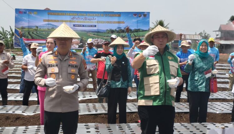 Walikota Pagar Alam Ludi Oliansyah bersama Kapolres Pagar Alam AKBP Adam Purbantoro bersiap melakukan penanaman simbolis bawang putih di kawasan Gunung Gare, Kota Pagar Alam.