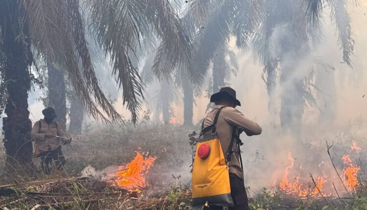 Personel Direktorat Samapta Polda Sumsel memanggul tangki air portabel saat memadamkan kebakaran lahan di sekitar kawasan PT PAR, Desa Pulau Geronggang, Kecamatan Pedamaran Timur, Kabupaten Ogan Komering Ilir (OKI).