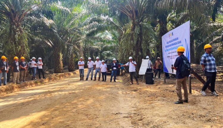 Para pekebun asal Musi Rawas dan Muara Enim menyimak pemaparan instruktur saat melakukan kunjungan lapangan di area Perkebunan Minanga Ogan, Ogan Komering Ulu, Sumatera Selatan.