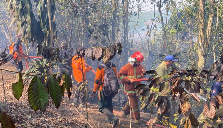 Sejumlah petugas dari Dinas Pemadam Kebakaran, BPBD Kota Pagar Alam, dan warga bergotong-royong menarik selang air untuk memadamkan kobaran api yang membakar lahan di Kecamatan Dempo Selatan, Kota Pagar Alam.