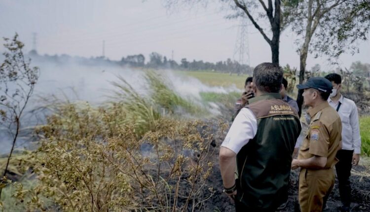 Walikota Palembang Ratu Dewa bersama Gubernur Sumatera Selatan Herman Deru memantau langsung titik kebakaran hutan dan lahan (Karhutlah) di kawasan Kecamatan Alang-Alang Lebar, Palembang.