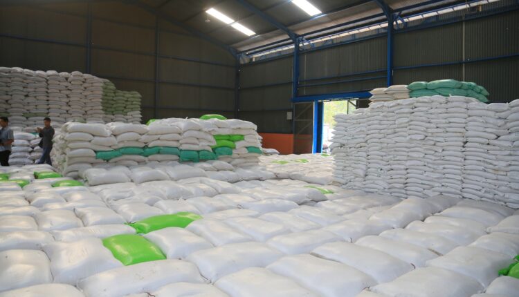 Hamparan karung beras berukuran besar yang menumpuk di dalam gudang penyimpanan pangan di wilayah Sumatera Selatan.
