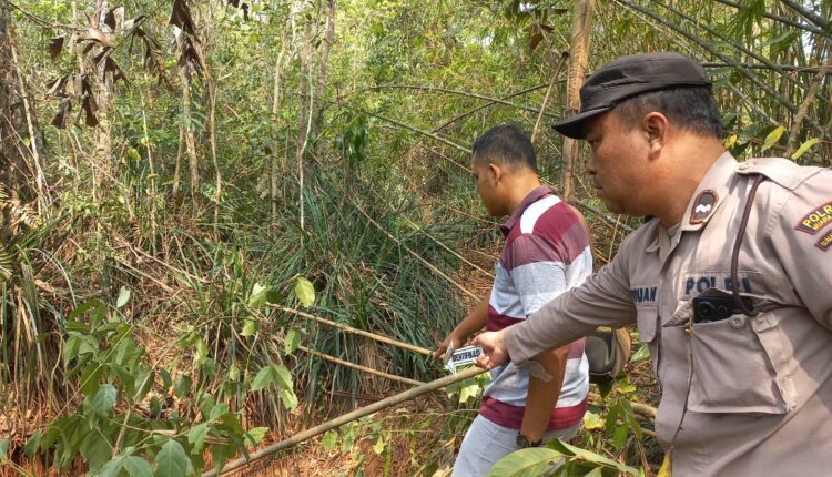 Personel Polsek Rambang Polres Muara Enim memasang papan tanda identifikasi saat melakukan cek tempat kejadian perkara (TKP) di area semak-semak sekitar aliran Sungai Rambang, Desa Baru Rambang.