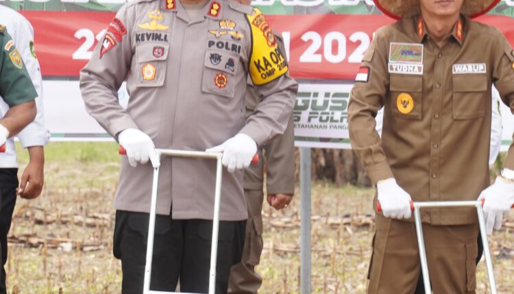 Kabupaten OKU Timur Ikuti penanaman jagung serentak 1 juta hektar.