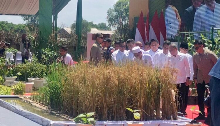 Presiden RI Prabowo Subianto bersama Ustad Adi Hidayat dan sejumlah Menteri saat meninjau contoh sawah terapung usai peresmian Program Gerina di Banyuasin, Sumsel. (Foto: Tia)