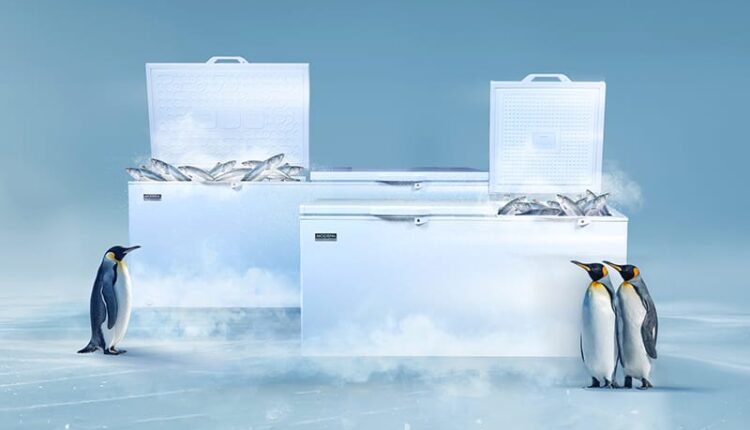 MODENA Perkenalkan Chest Freezer terbaru, solusi andal untuk berbagai sektor usaha.