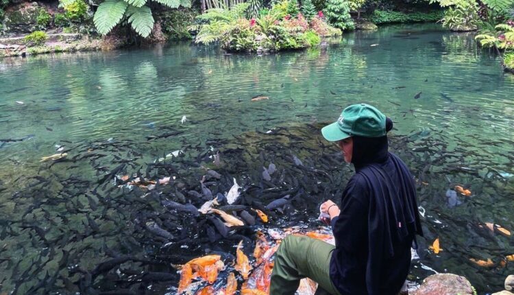 Destinasi wisata Green Paradise Pagar Alam, Sumsel. (Foto: Tia)