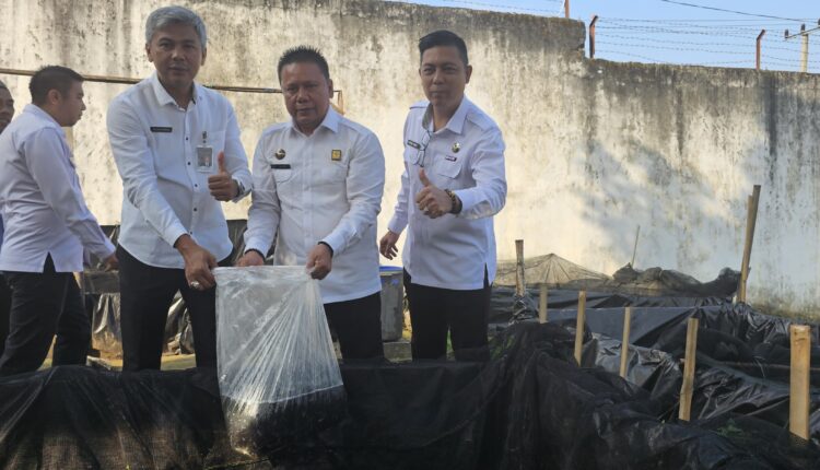 Rutan Kelas IIB Baturaja kembali melaksanakan program budidaya ikan lele melalui kegiatan tabur benih.