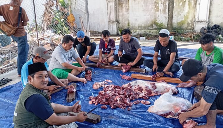 PN Palembang melaksanakan pemotongan hewan kurban.