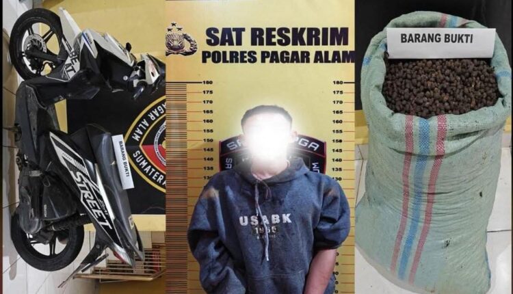Tersangka RDP pelaku curat diserahkan ke Polres Pagar Alam. 