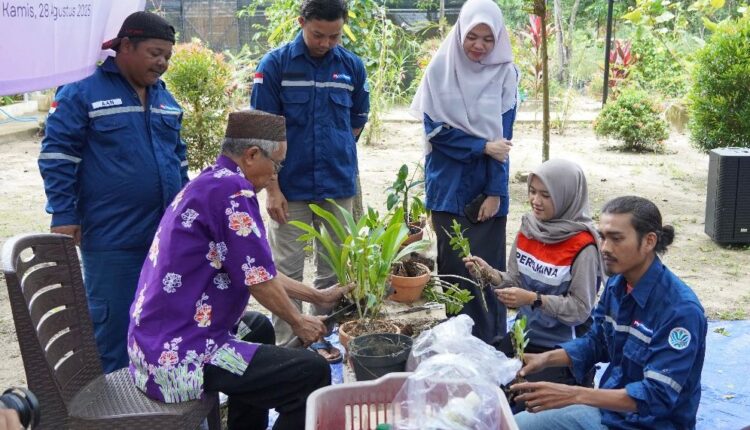Pelatihan pulihkan konservasi flora di Bangka Belitung. 