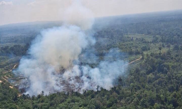Kejadian Karhutla di Kabupaten Musi Banyuasin. (Foto: BPBD Sumsel)
