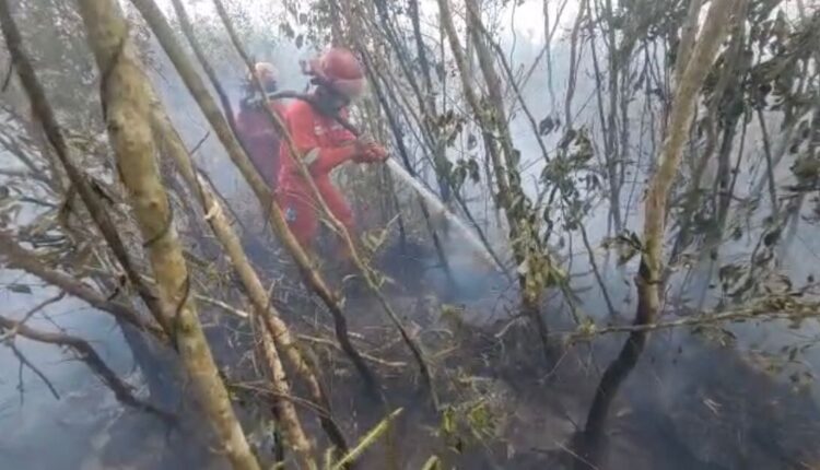 Tim Satgas saat melakukan pemadaman di Desa Deling, Pangkalan Lampam OKI, Sumsel. (Foto: ist)