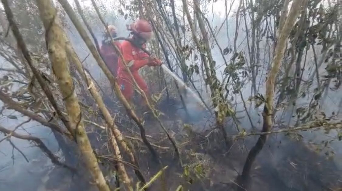 Tim Satgas saat melakukan pemadaman di Desa Deling, Pangkalan Lampam OKI, Sumsel. (Foto: ist)