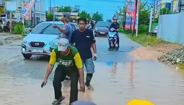 Warga berebut menangkap ikan lele.