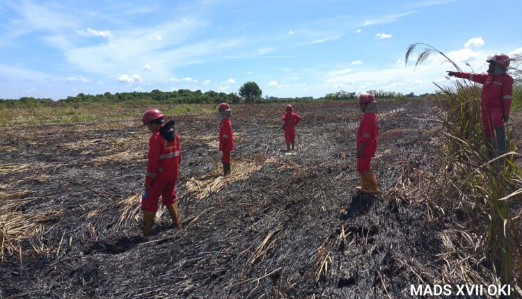 Tim satgas saat mengecek lokasi karhutla di wilayah Jejawi, Kabupaten Ogan Komering Ilir (OKI), Sumatera Selatan. (Foto: Manggala Agni)