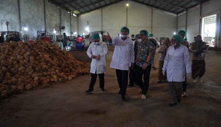 Kepala Badan Karantina Indonesia, Sahat M Panggabean saat kunjungan kerja ke pabrik pengolahan santan milik PT YSK KOS di Pegayut, Kabupaten Ogan Ilir. (Foto: Barantin)