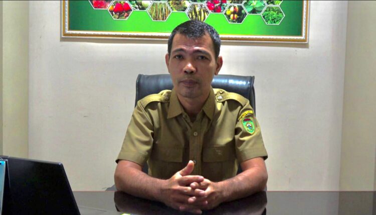 Kepala Bidang Produksi Dinas Perkebunan Sumatera Selatan, Havizman. (Foto: Tia)