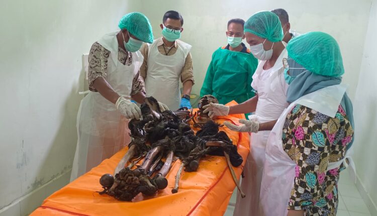 Proses identifikasi tulang belulang yang ditemukan di Kebun Pisang.