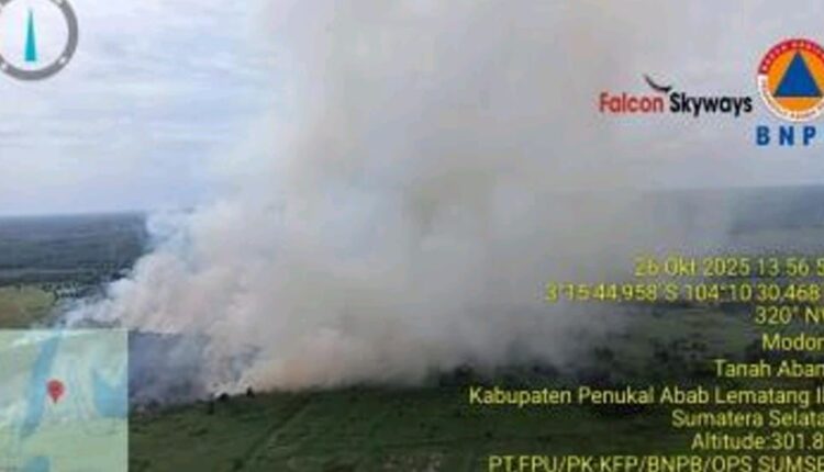 Karhutla di Kabupaten PALI, Sumsel. (Foto: BPBD Sumsel)