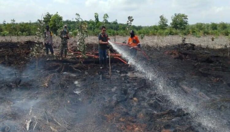 Petugas berupaya memadamkan api di lahan terbakar di Kabupaten Muara Enim. (Foto: BPBD Sumsel)