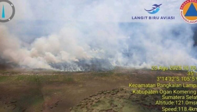 Kejadian karhutla di Kabupaten OKI, Sumsel. (Foto: BPBD Sumsel)