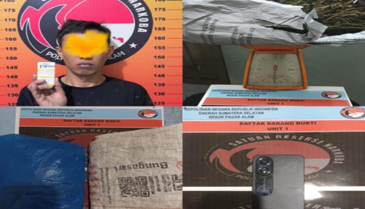 Tersangka tindak pidana narkotika di wilayah hukum Polres Pagar Alam. (Foto: Istimewa/Humas Respa)