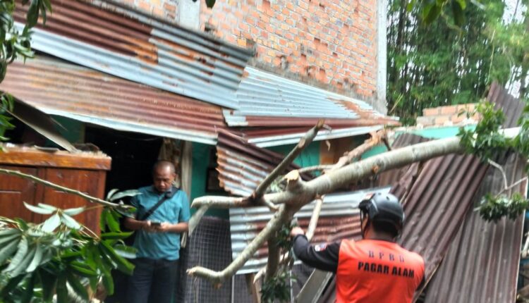 Proses evakuasi rumah warga akibat tertimpa pohon. 