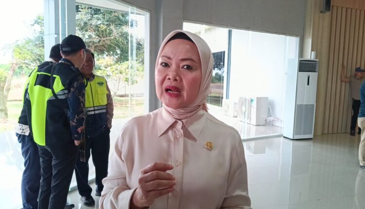 Anggota DPR-RI Fraksi Gerindra Sri Meliyana. 