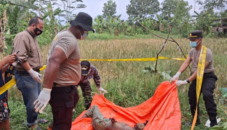 Petugas saat mengevakuasi jasad korban. (Foto: Dokumen Polisi)