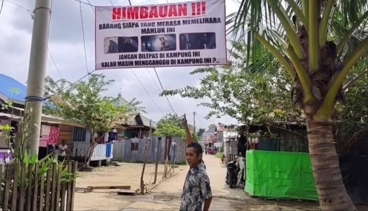 Warga di Lorong Budi Mulia II, Jakabaring, Palembang, kompak memasang baliho peringatan. Bukan untuk maling biasa, baliho ini ditujukan khusus untuk pemilik makhluk halus (tuyul) agar tidak beraksi di kampung mereka.